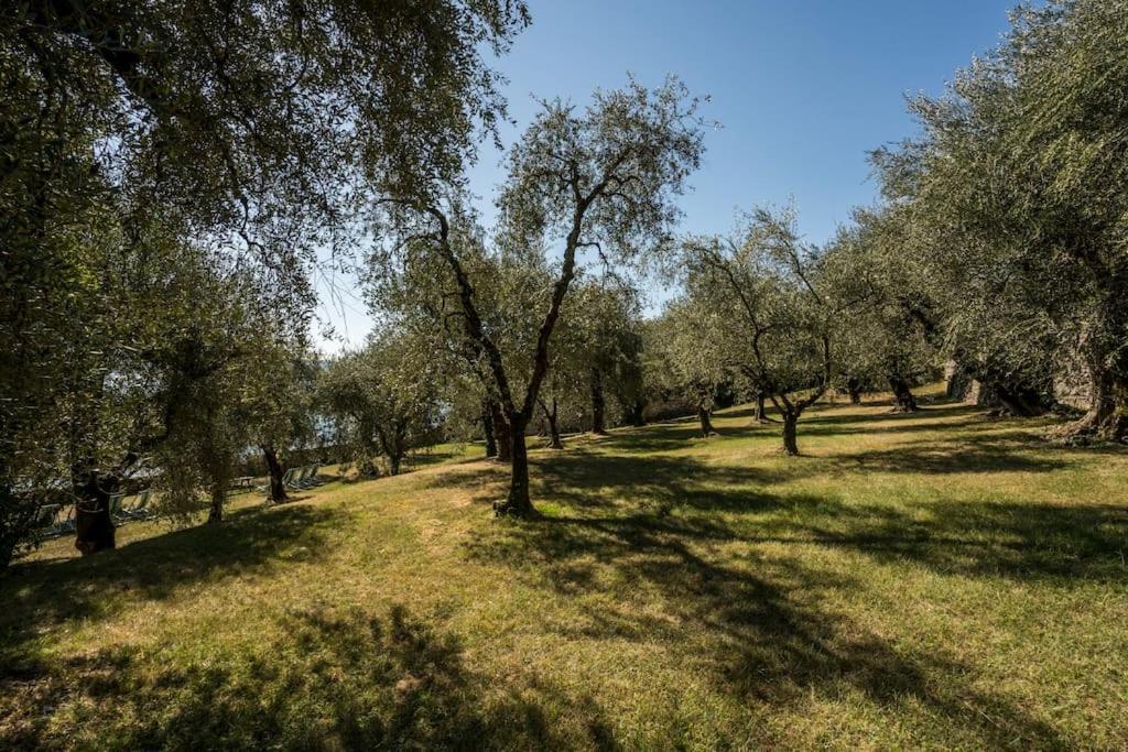 Oleandro Apartment Directly On The Lake Gargnano Bagian luar foto